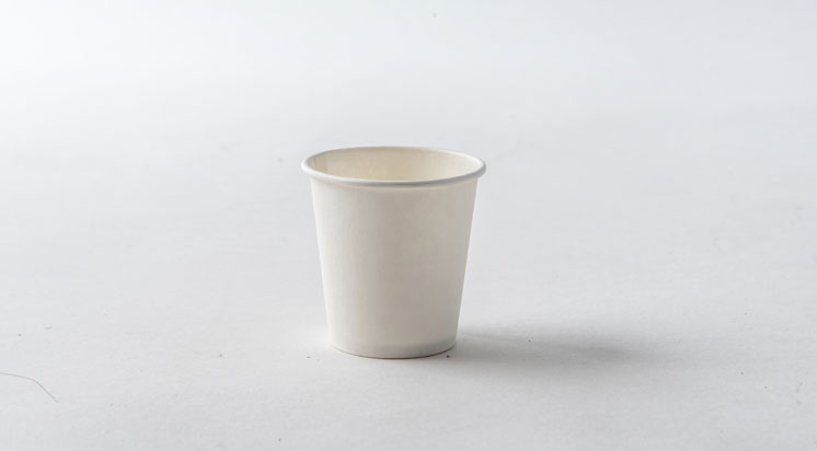 What Are the Uses of Biodegradable Sugarcane Bagasse Cups?