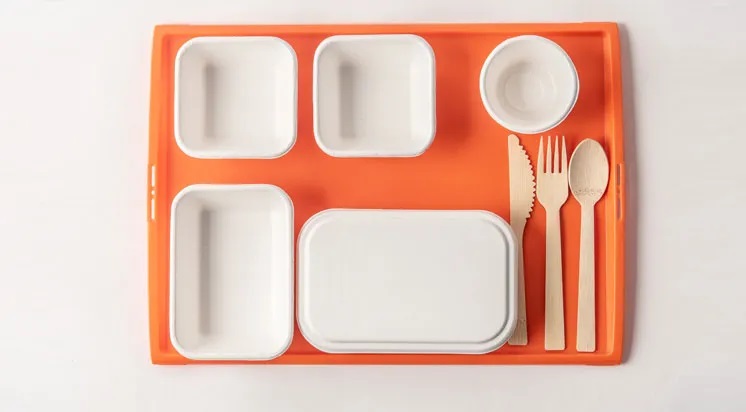 Biodegradable Airline Sugarcane Casserole