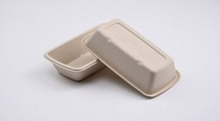 Analysis of the Market Prospect of Sugarcane Tableware